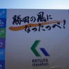 2016/1/31勝田全国マラソンの結果